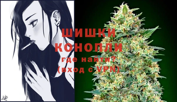 соль ск Богородицк