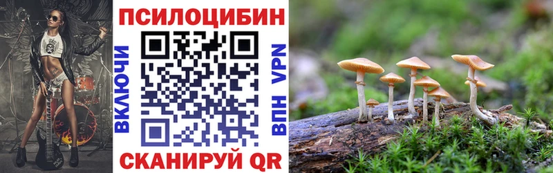 Псилоцибиновые грибы ЛСД Заринск